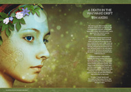 Item image: A Death in the Wayward Drift