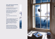 Item image: Still Life With Falling Man