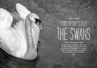 Item image: The Swans