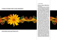 Item image: Coriander for the Hidden