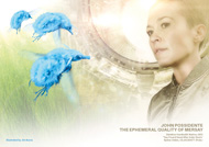 Item image: The Ephemeral Quality of Mersay