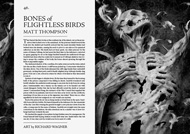 Item image: Bones of Flightless Birds