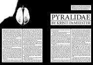 Item image: Pyralidae