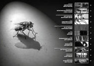 Item image: Black Static 64 Contents