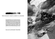 Item image: The Longest Night