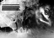 Item image: The Hope Chest