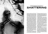 Item image: Shattering