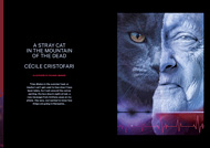 Item image: A Stray Cat in the Mountain of the Dead